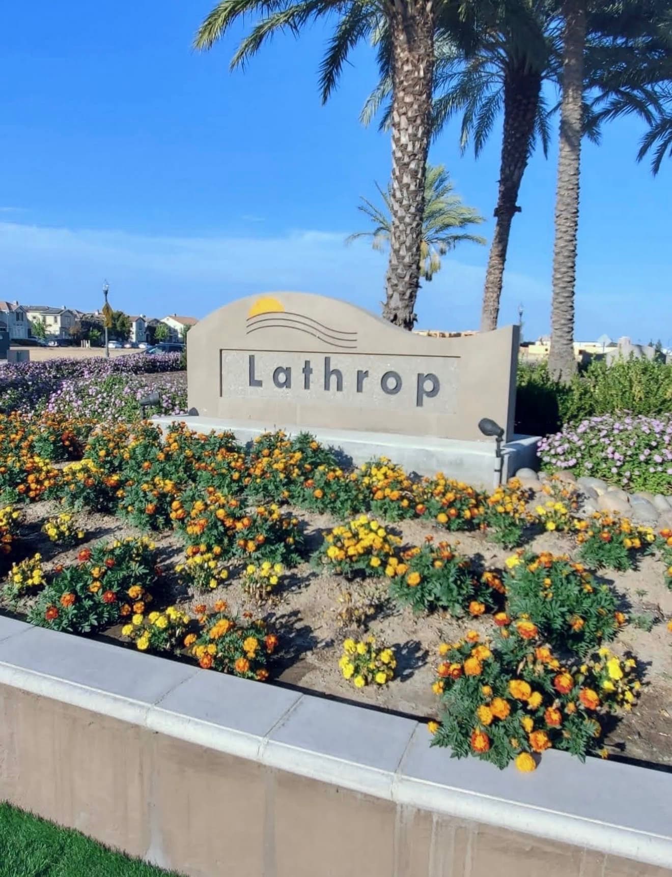 European Soccer Academy in Lathrop