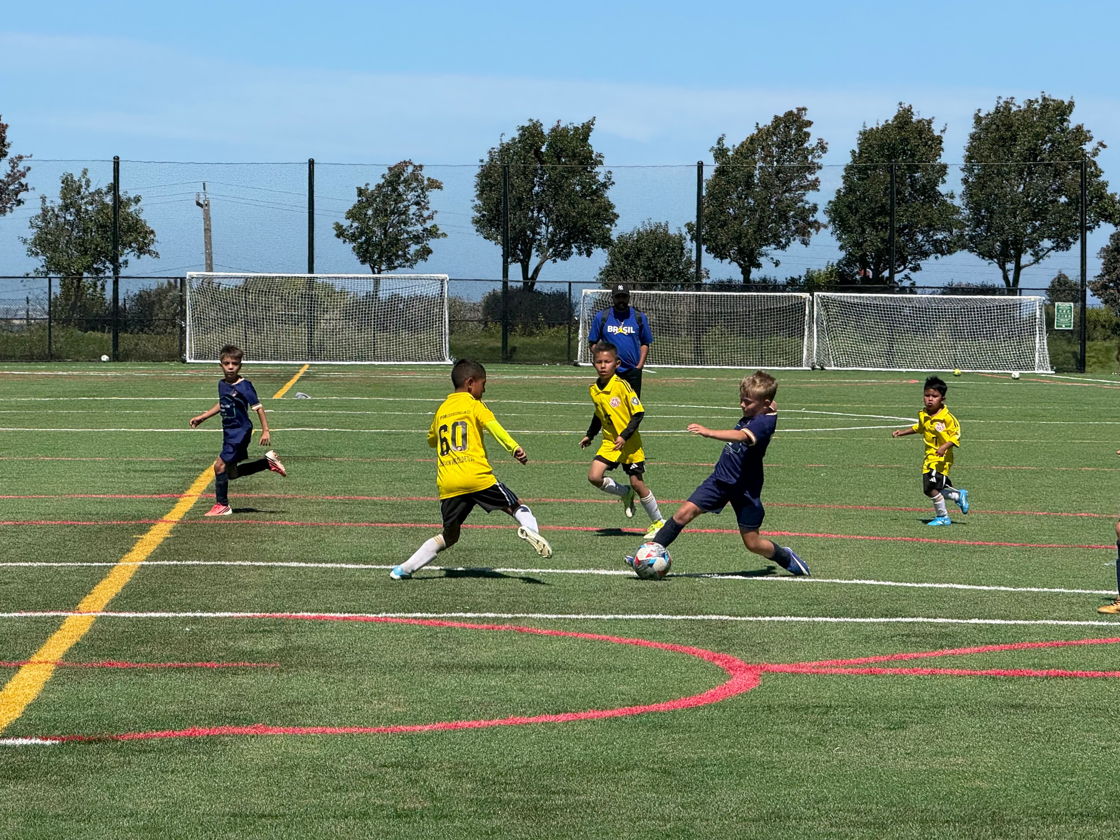 Soccer teams training