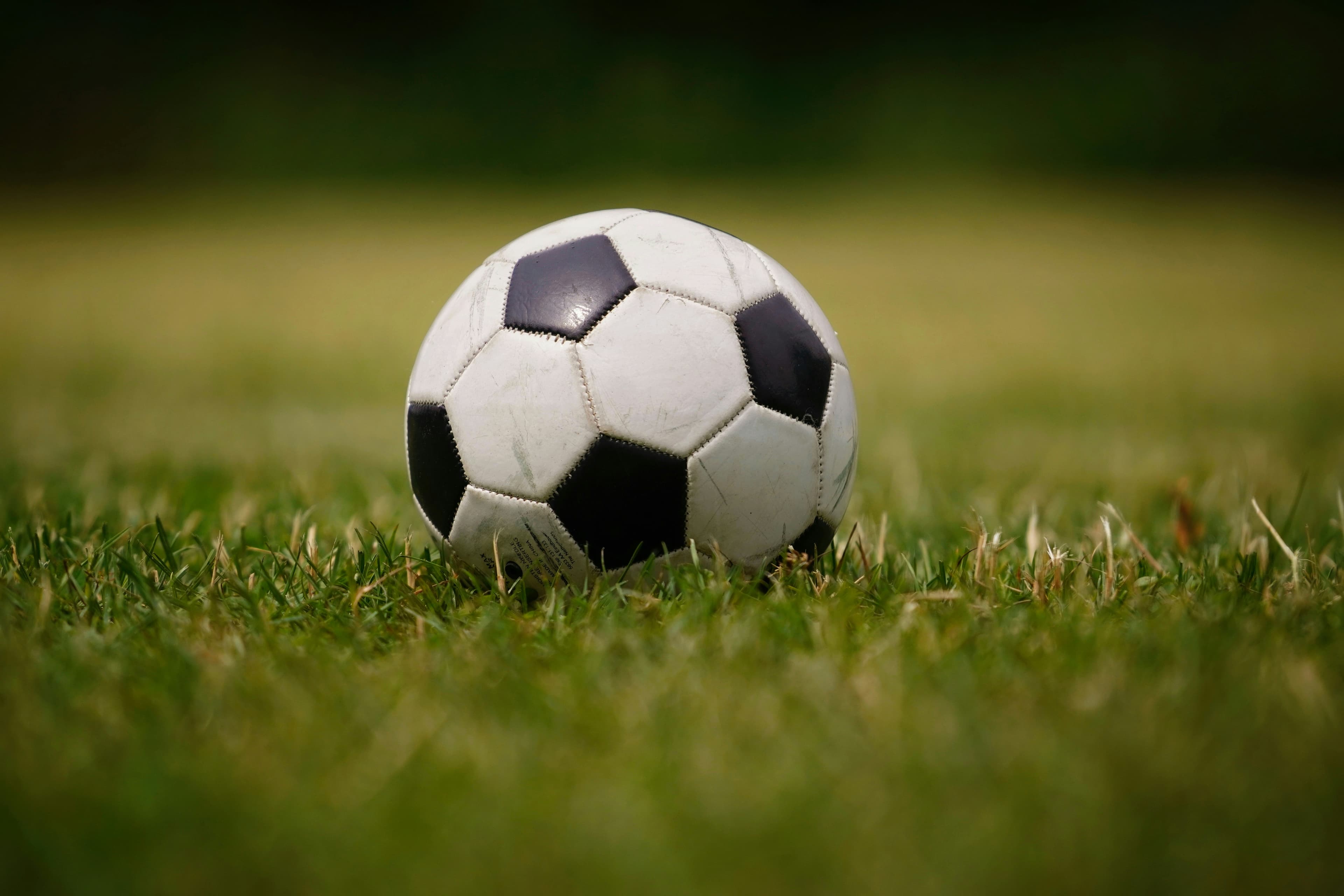 For the Spring Season, our Academy is excited to welcome families to our new location in Hillsborough, CA.